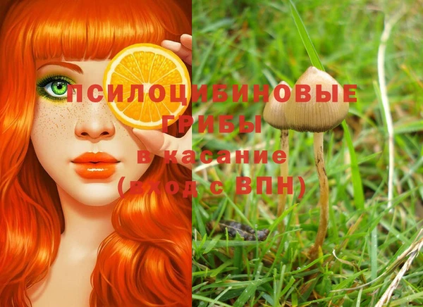мескалин Вязьма