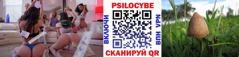 цены гидра ссылки Псилоцибиновые грибы Psilocybine cubensis Евпатория